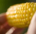 dieta w chorobie wrzodowej.jpg